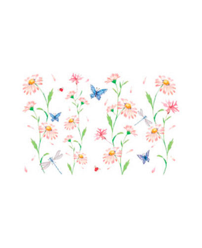 TRANSFER PINK DAISIES STRIPE