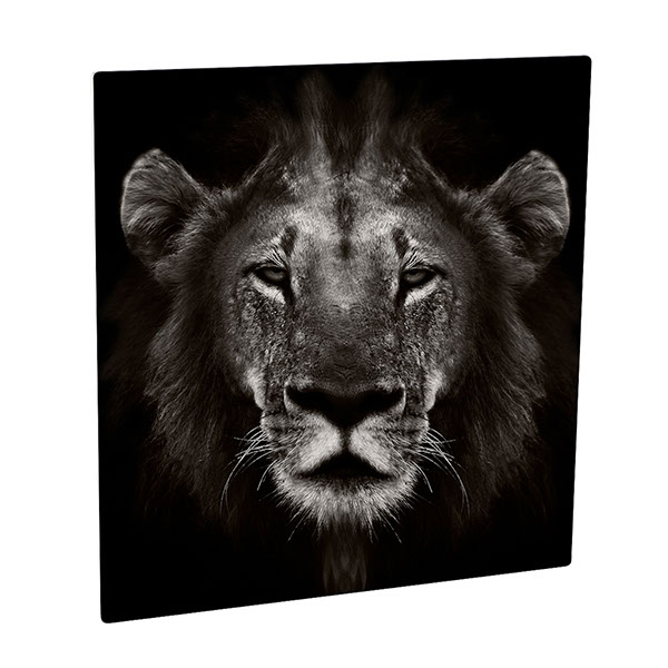 Pann.All. CL Stam.1 Lato Bi.Sm-Luc. 1200x1200x1,14
