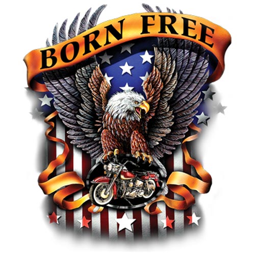 TRANSFER BORN FREE EAGLE