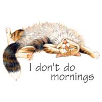 TRANSFER I DON’T DO MORNINGS