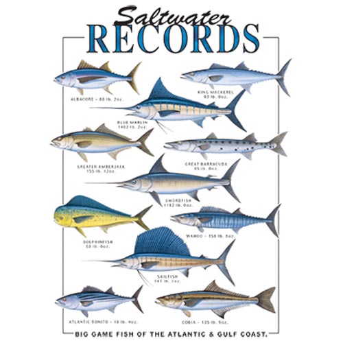 TRANSFER SALTWATER RECORDS