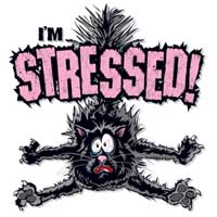 TRANSFER I’M STRESSED