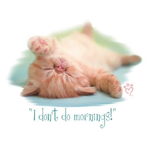 TRANSFER I DON’T DO MORNINGS – RH
