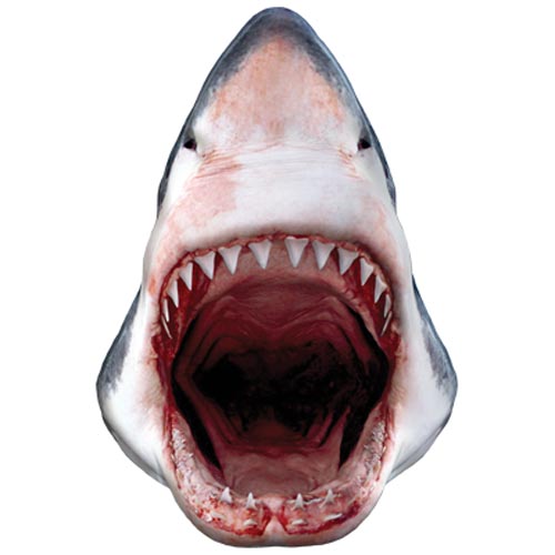 TRANSFER SHARK