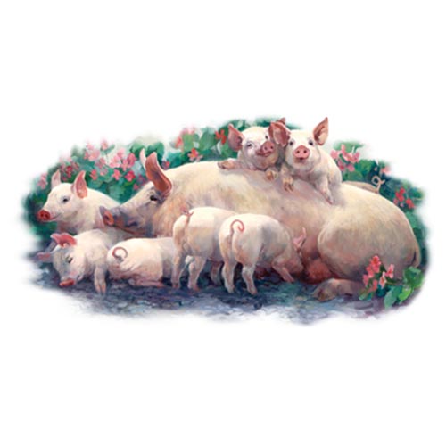 TRANSFER PIGGIN’OUT