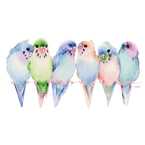 TRANSFER BUDGIES
