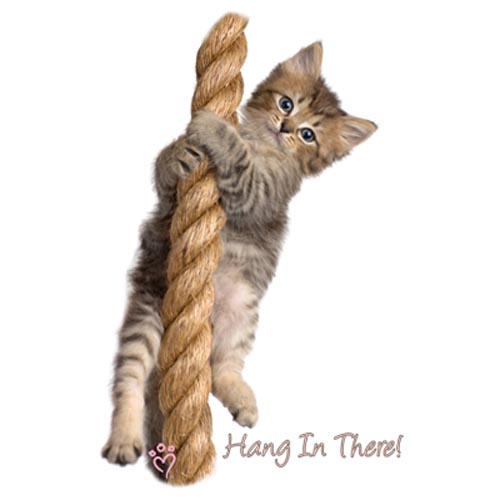 TRANSFER ERIC – RH