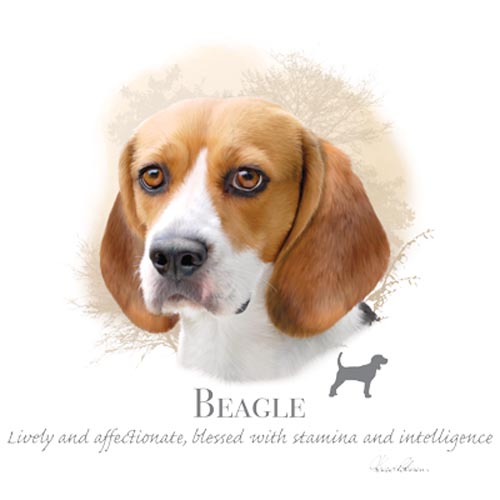 TRANSFER BEAGLE – HR