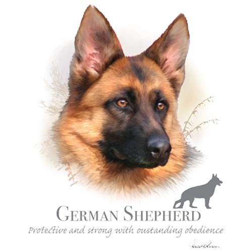 TRANSFER GERMAN SHEPHERD – HR