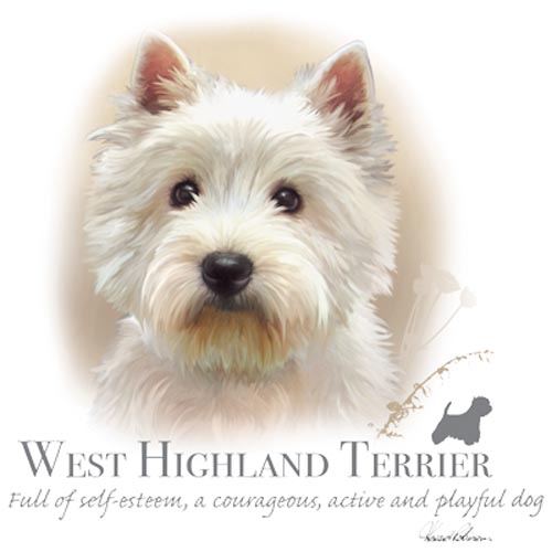 TRANSFER WEST HIGHLAND TERRIER – HR