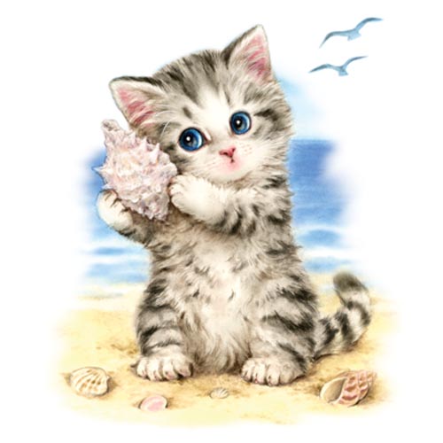 TRANSFER SEASHELL KITTEN