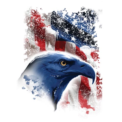 TRANSFER AMERICAN ICON