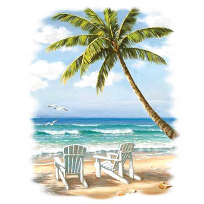TRANSFER HIDDEN BEACH