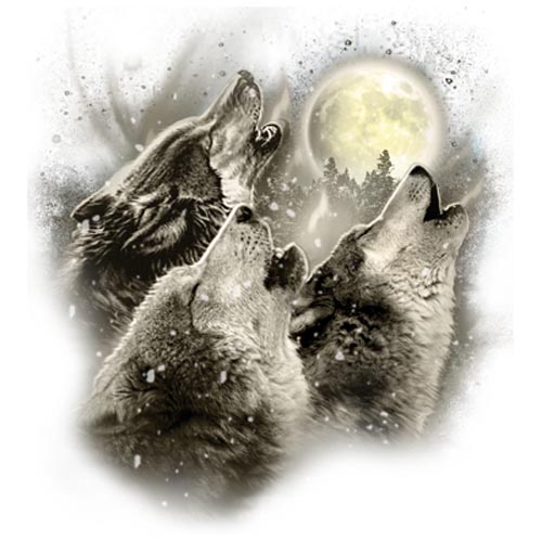 TRANSFER WOLF HOWL