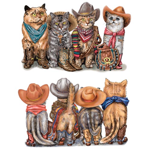 TRANSFER COWBOY CATS