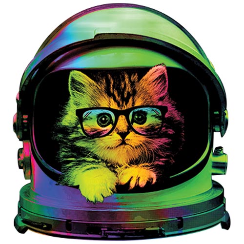 TRANSFER SPACE KITTEN
