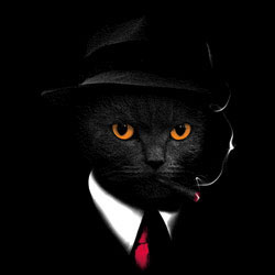 TRANSFER AGENT CAT (DARKS ONLY)