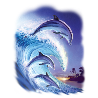 TRANSFER RIDING THE WAVE