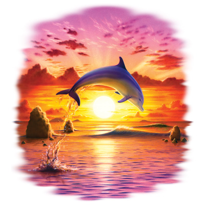 TRANSFER DAY OF THE DOLPHIN – SUNSET