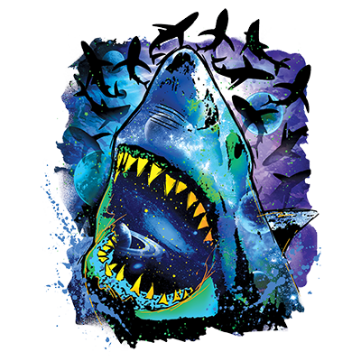 TRANSFER COSMO SHARK