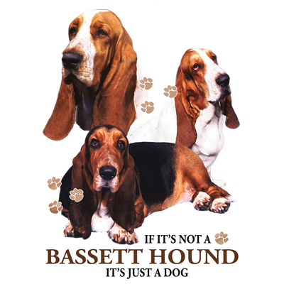 TRANSFER BASSET HOUND
