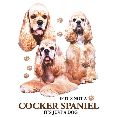 TRANSFER COCKER SPANIEL