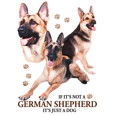 TRANSFER GERMAN SHEPHERD
