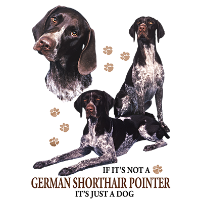 TRANSFER GERMAN SHORTHAIR POINTER