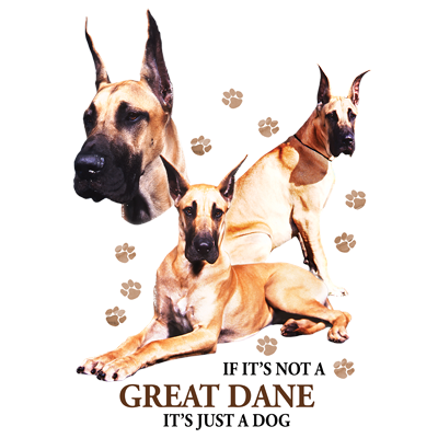TRANSFER GREAT DANE