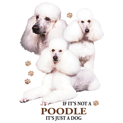 TRANSFER POODLE