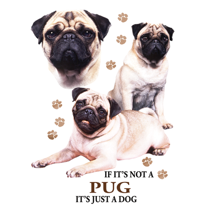 TRANSFER PUG