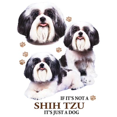 TRANSFER SHIH TZU