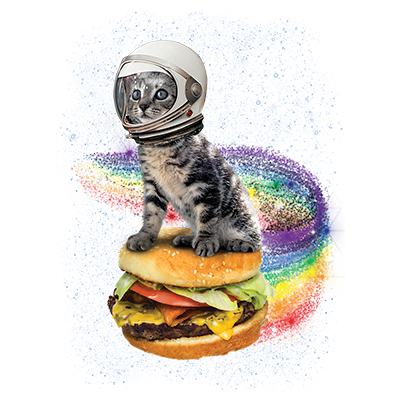 TRANSFER RAINDBOW BURGER CAT