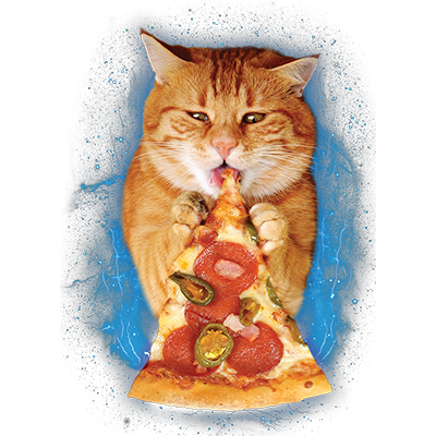 TRANSFER PIZZA CAT