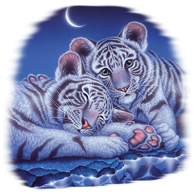 TRANSFER TWO BABIES – TIGER