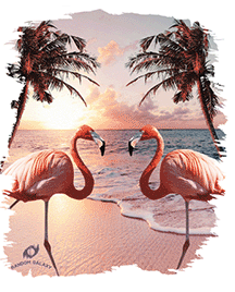 TRANSFER COLORFUL FLAMINGO PALM TREE