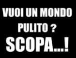 TRANSFER SCOPA BIANCO