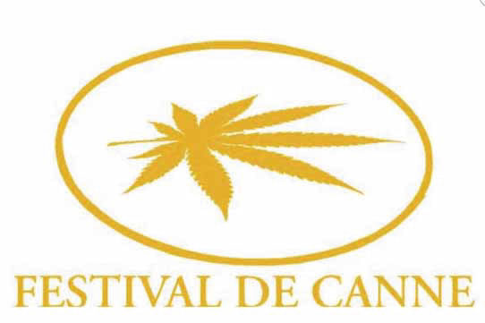 FOGLIO TRANSFER FESTIVAL DI CANNE 3XFOGLIO