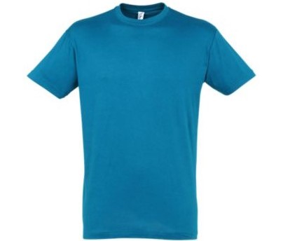 T-SHIRT M/C REGENT