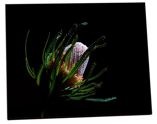 Pannello Fotografico in MDF Testuriz Bi 152x152