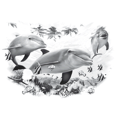 TRANSFER DOLPHIN FRIENDS