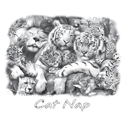 TRANSFER WILD CAT NAP