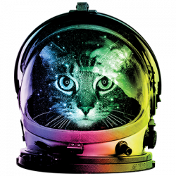 TRANSFER SPACE CAT