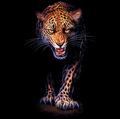 TRANSFER PROWLING LEOPARD