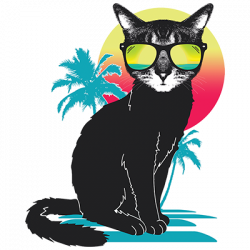 TRANSFER COOL SUMMER CAT