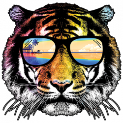 TRANSFER SUMMER TIGER