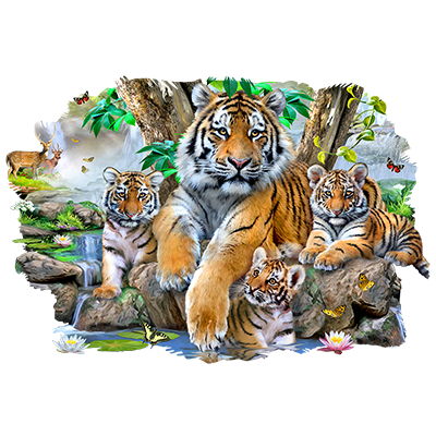 TRANSFER TIGERS BY THE STREAM
