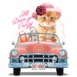 TRANSFER COMBINATO KITTY CAR RHINESTONES