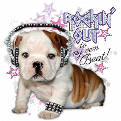 TRANSFER COMB. PUPPY HEADPHONES RHINESTONES